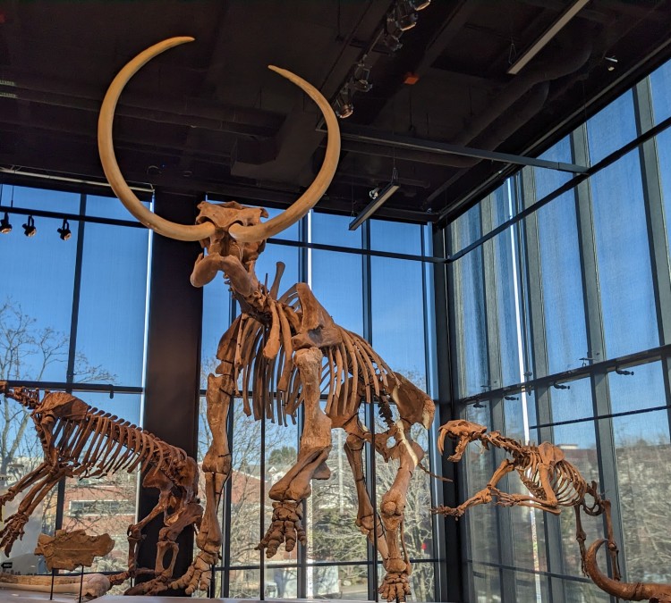 Burke Museum of Natural History and Culture (Seattle,&nbspWA)